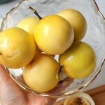 百香果