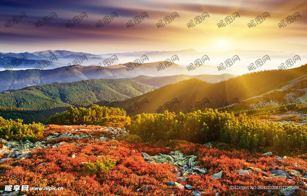 风景图
