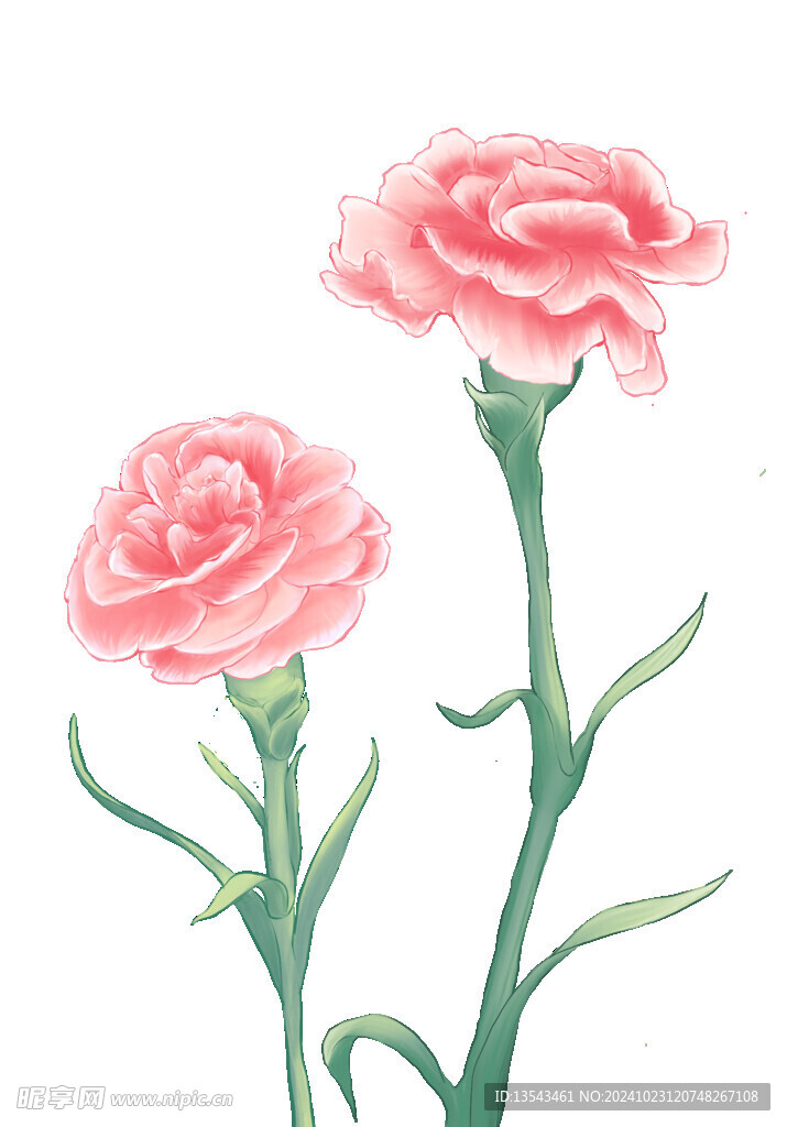 花朵   彩色   小花   