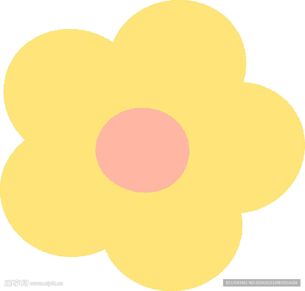 花朵   彩色   小花   