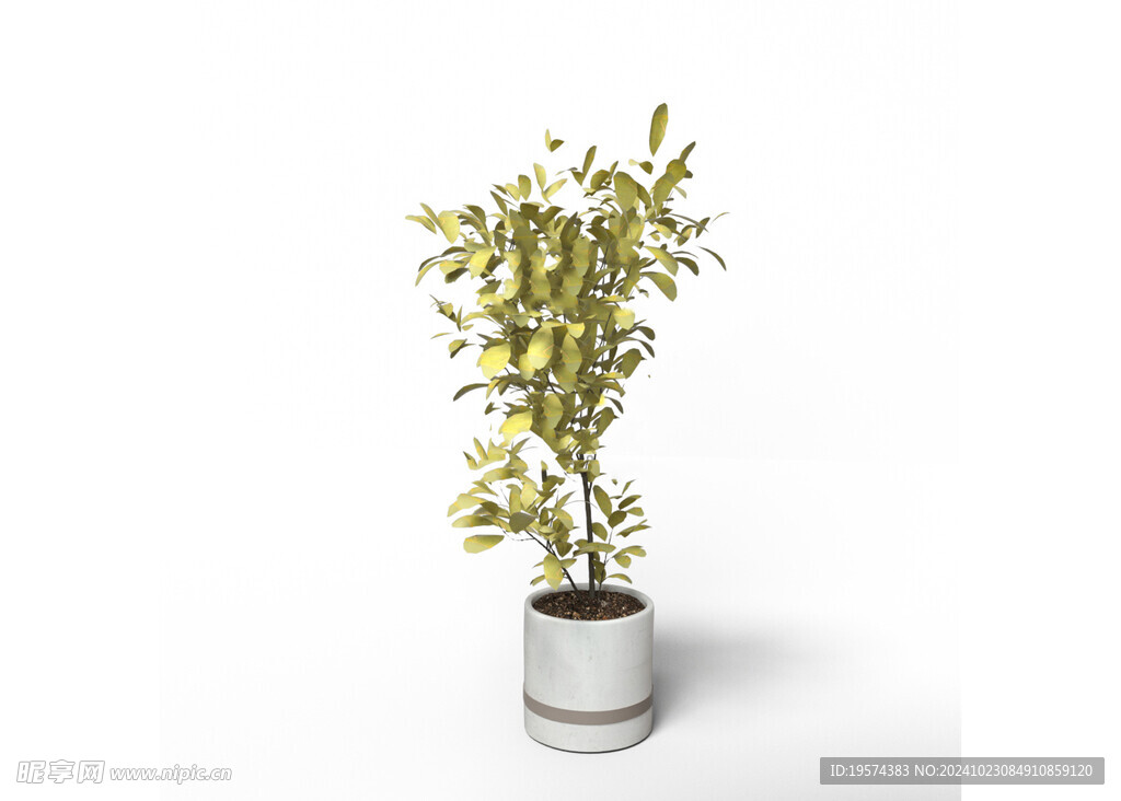 C4D模型 绿色植物