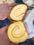 西式面点