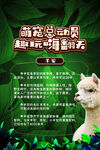 动物羊驼介绍