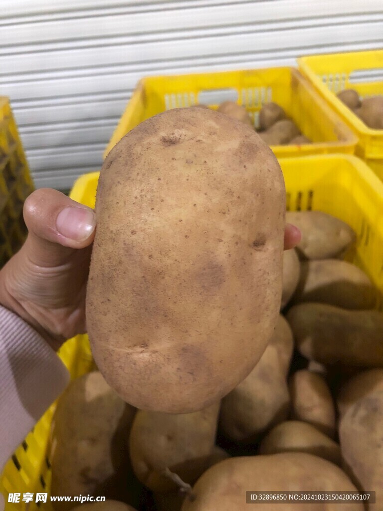 土豆