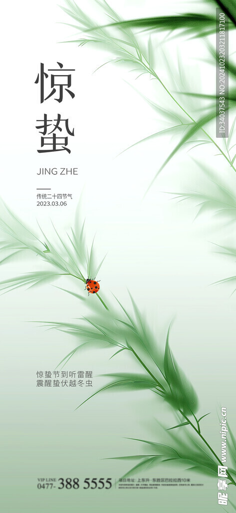节气 惊蛰 医美