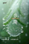 谷雨节气宣传海报展板