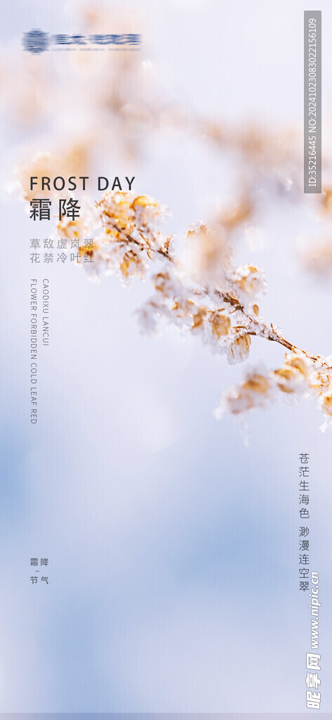 霜降海报