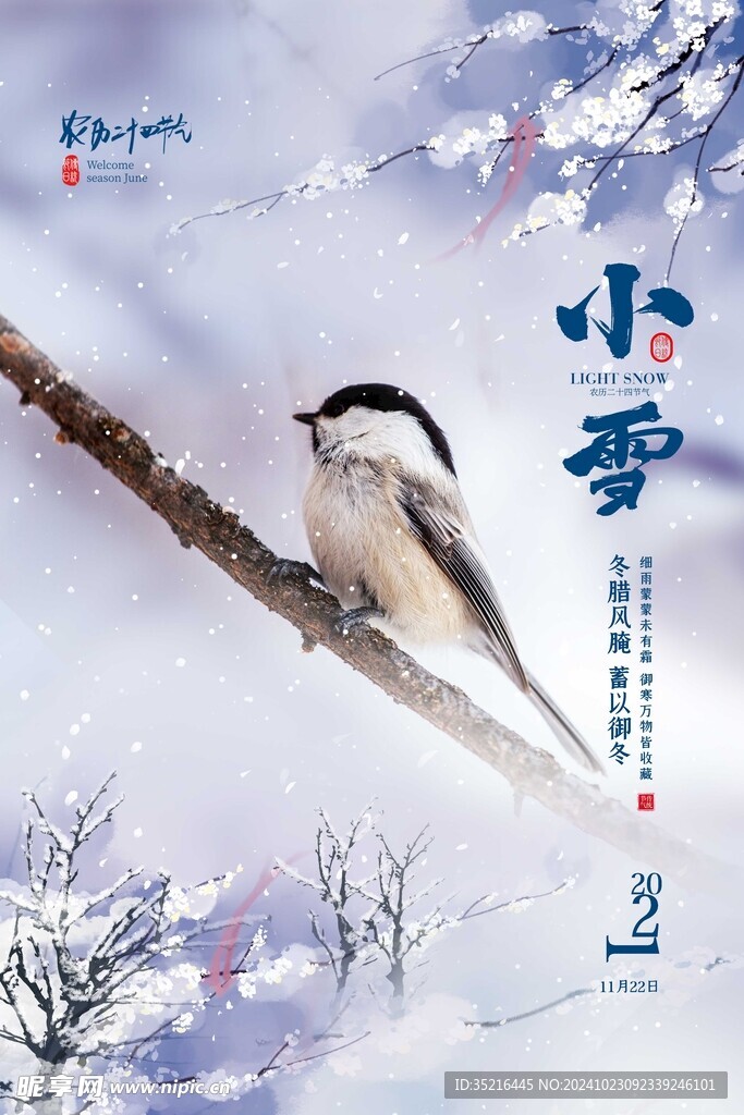 小雪海报