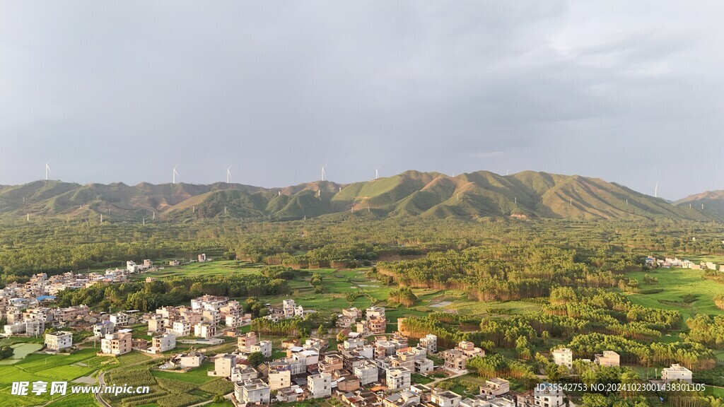 山林茂密