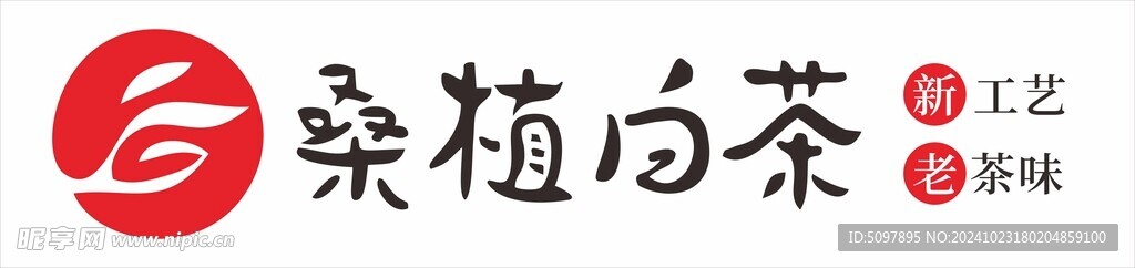 桑植白茶