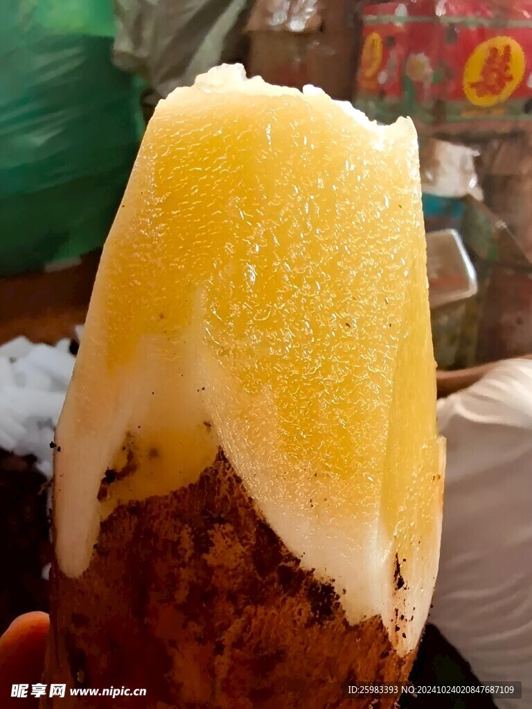雪莲果