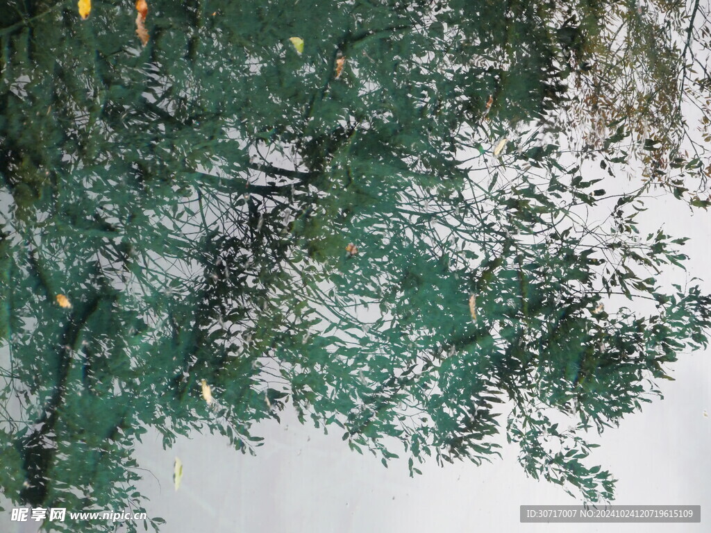 水中倒影