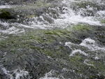 河水