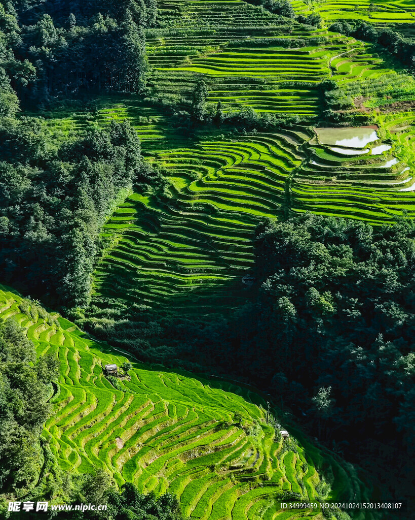 坝达梯田