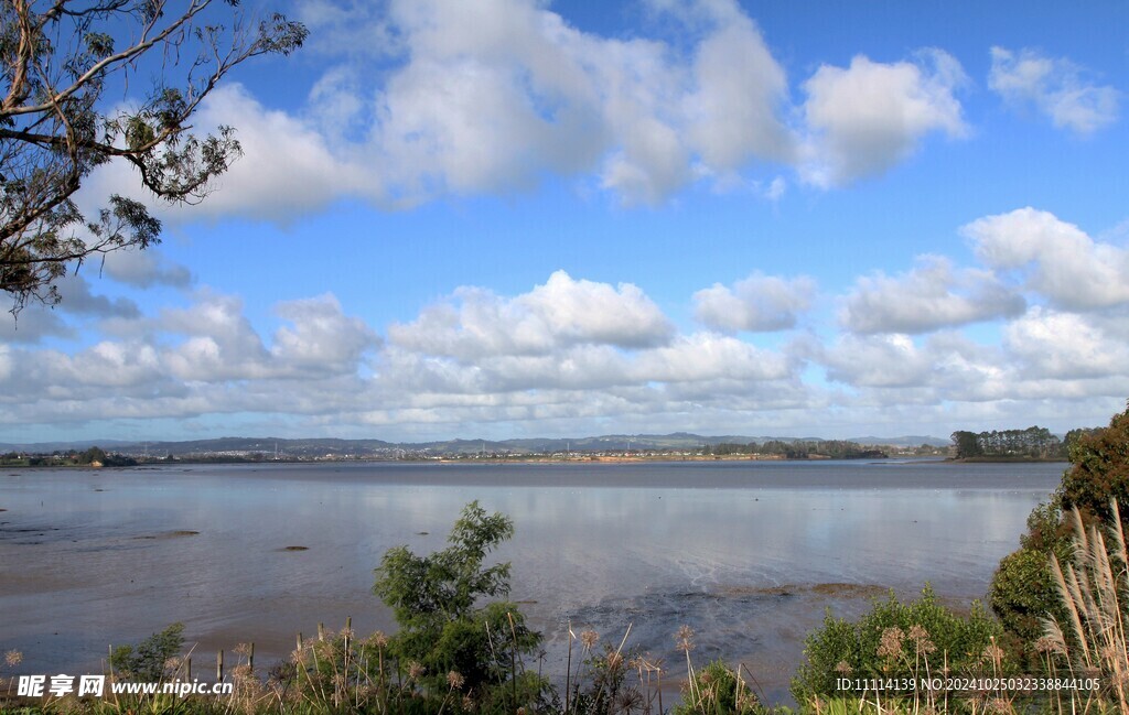 奥克兰海滨风景