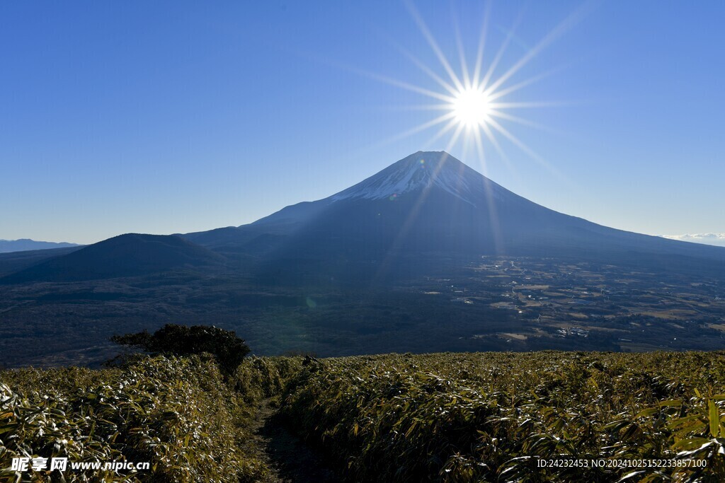 富士山