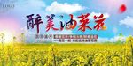 油菜花