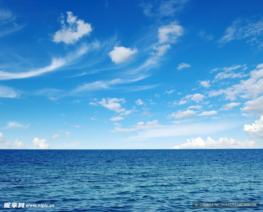 大海