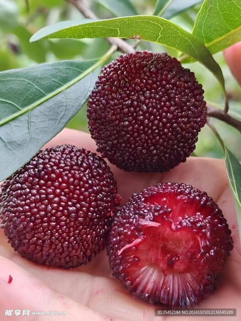 杨梅干