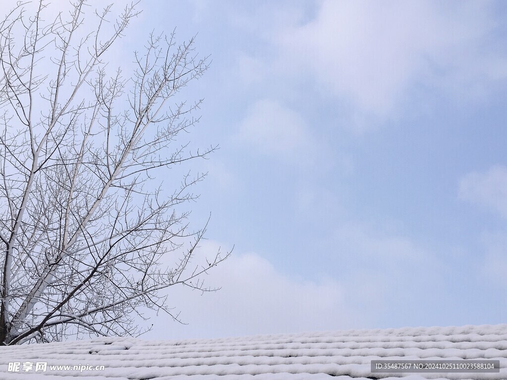 冬季雪花树枝