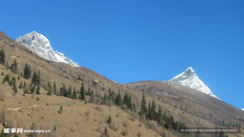 四姑娘山