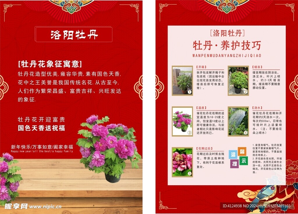 牡丹种植 宣传单页