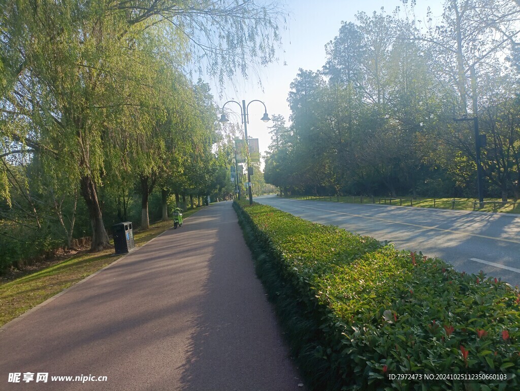 森林道路