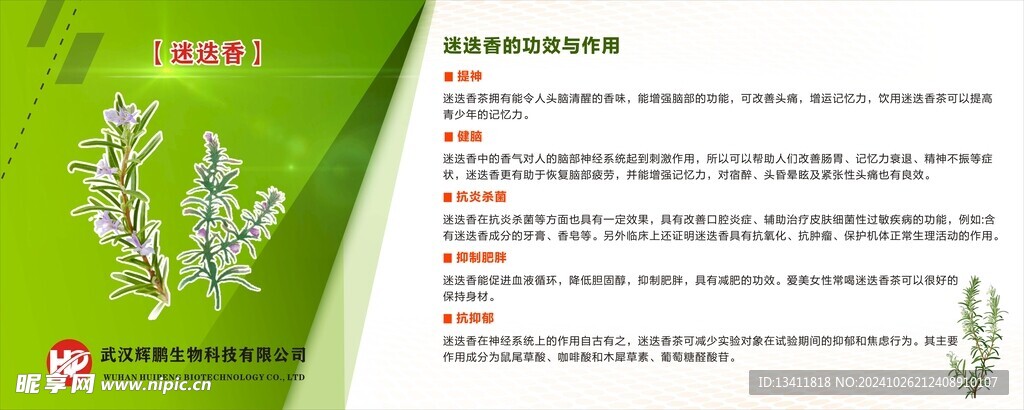 迷迭香企业文化墙 背景墙