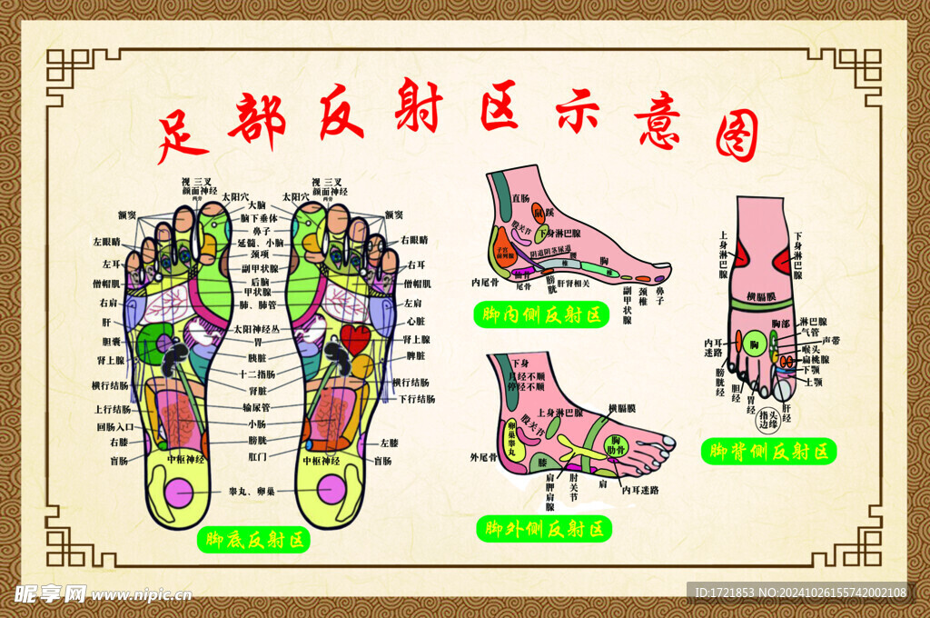 足底穴位