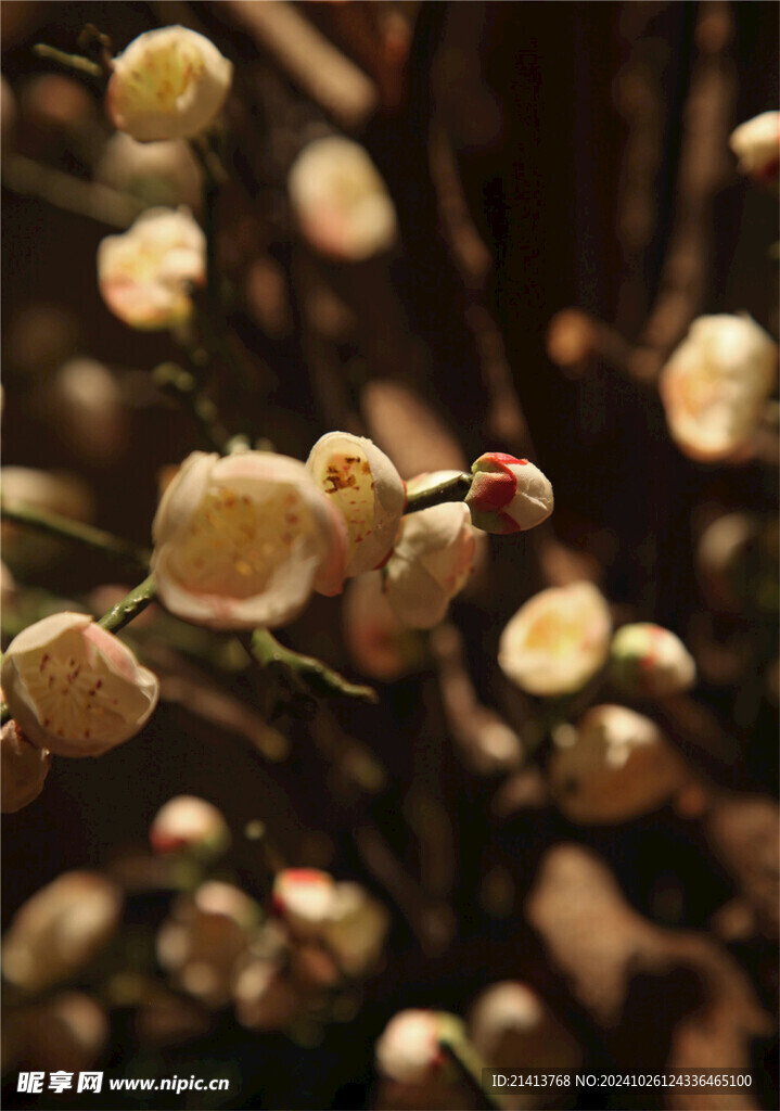 居家花瓶花束