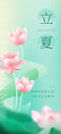 立夏