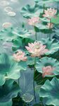 荷花  
