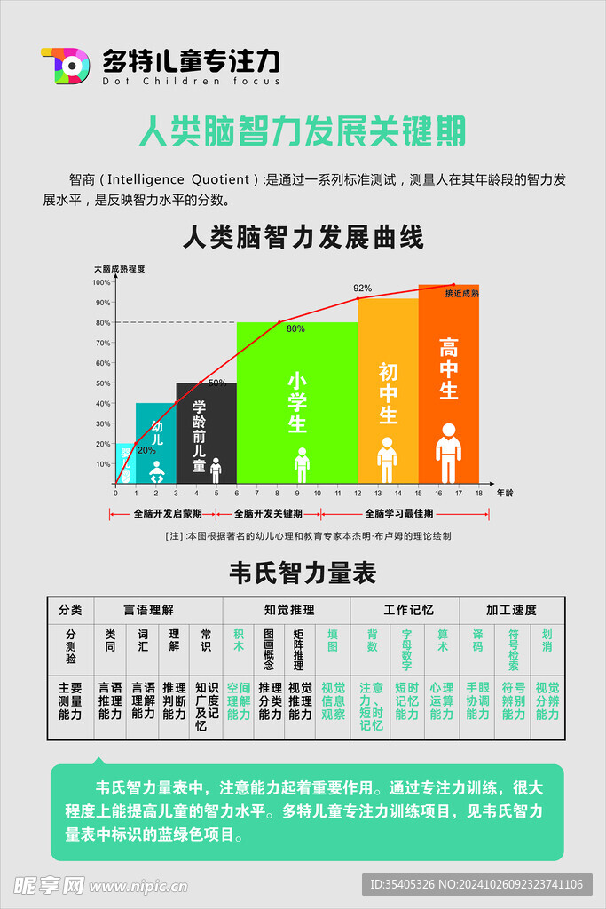 多特儿童专注力脑智力发展曲线