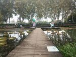 绿化景观