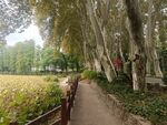 绿化景观