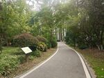 公园景观