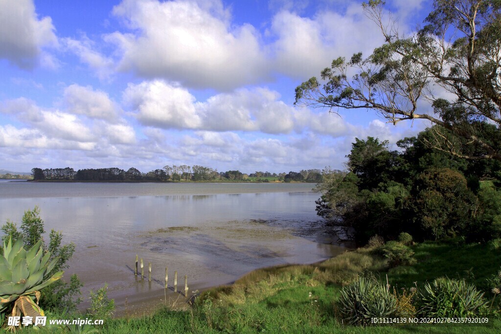 奥克兰海湾风景