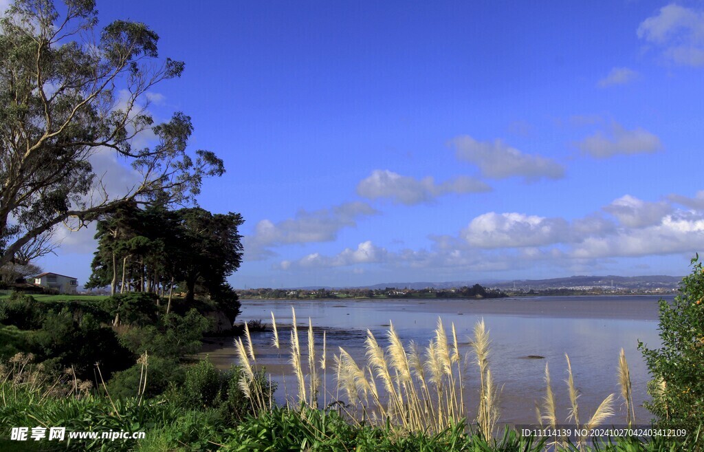 奥克兰海滨风景