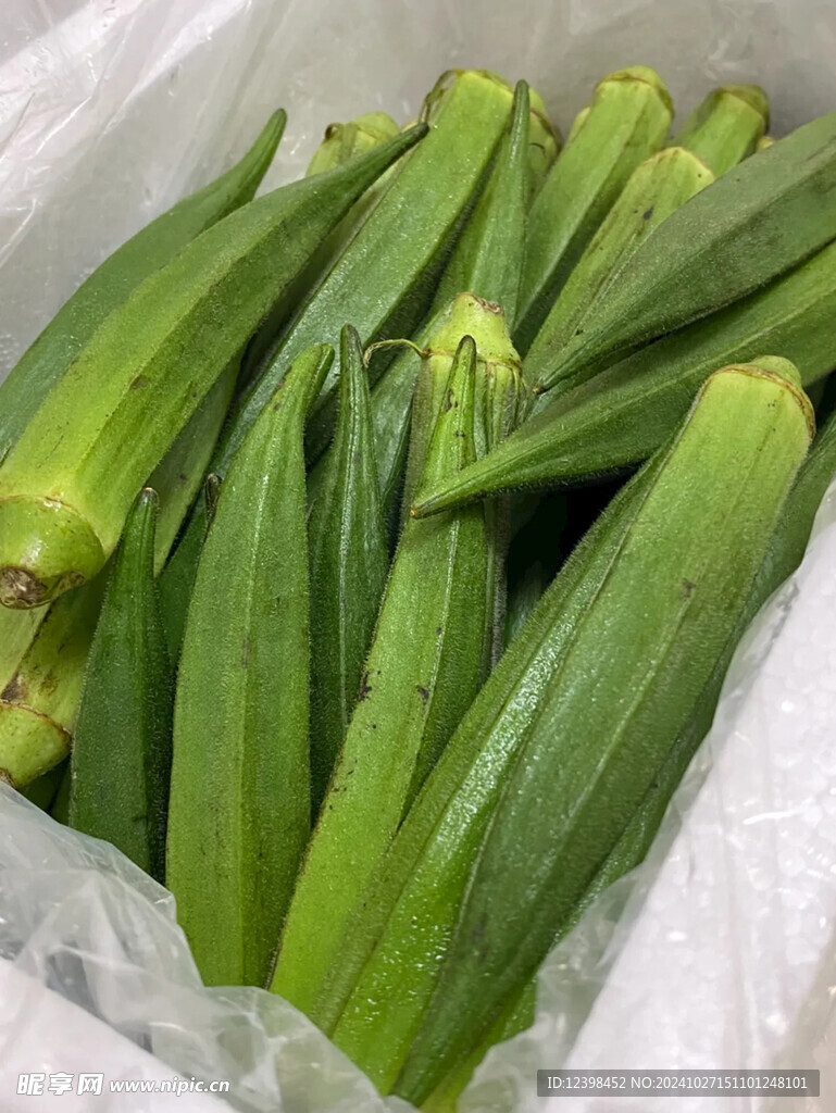 秋葵