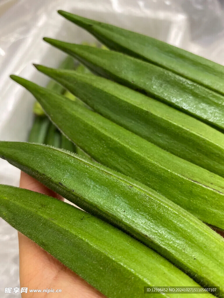 秋葵