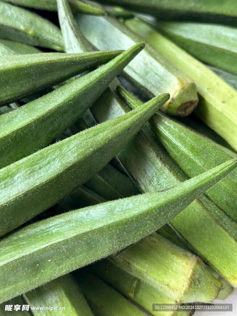 秋葵