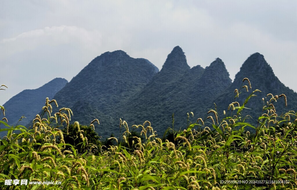 桂林山水  