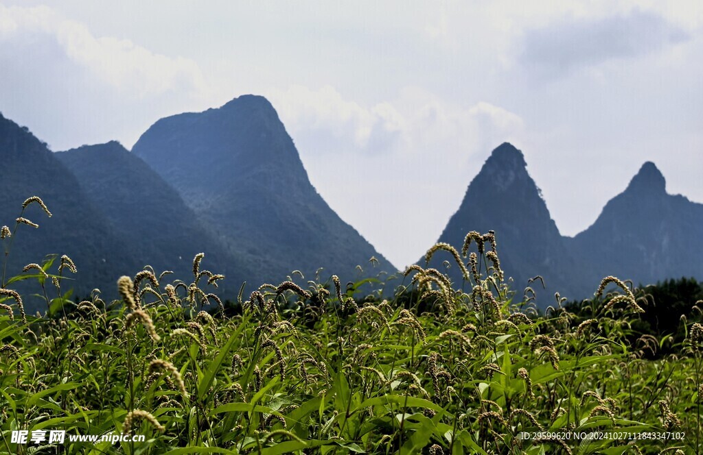 桂林山水 