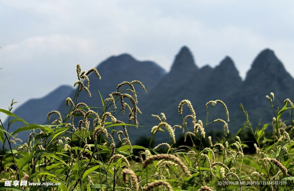 桂林山水 