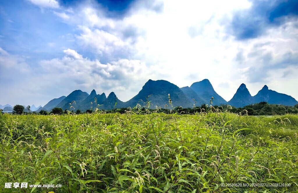 桂林山水 
