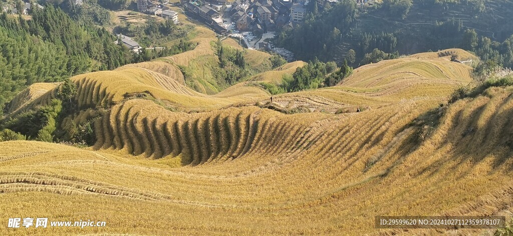 梯田  