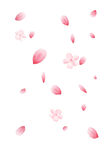 花瓣