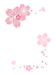 花瓣