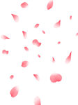 花瓣