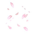 花瓣